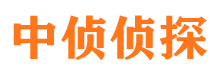 游仙侦探公司